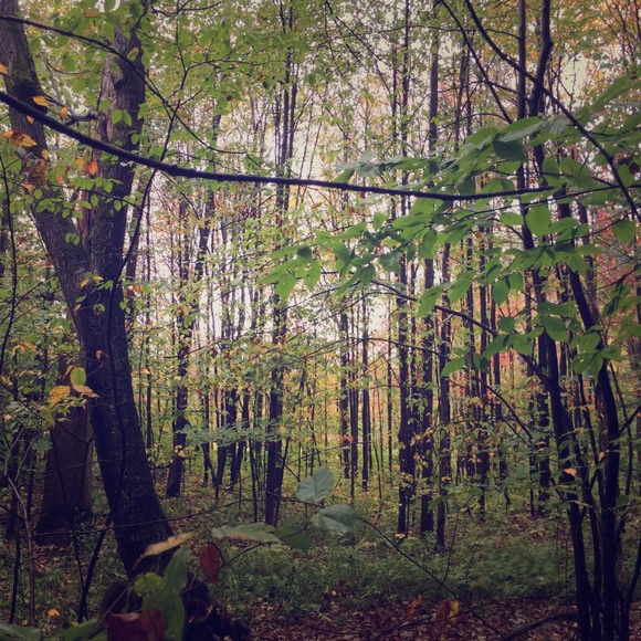 Clearing out! :) - Picture 1 of 2